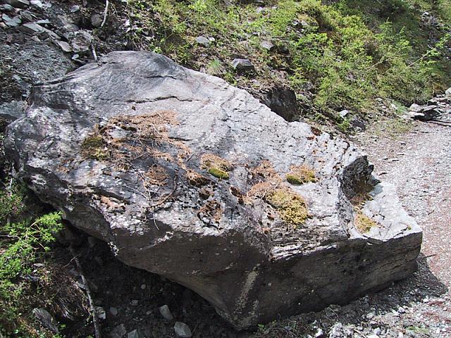102-0237 IMG