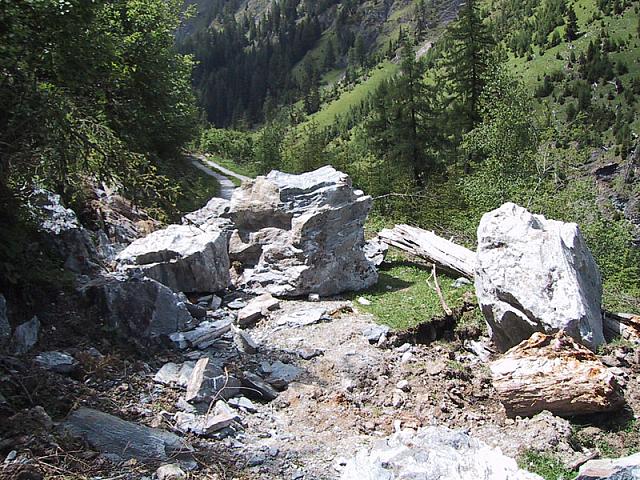 102-0240 IMG