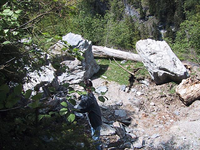 102-0242 IMG