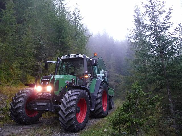 Böckelweg 2010