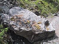 102-0237 IMG