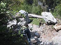 102-0242 IMG